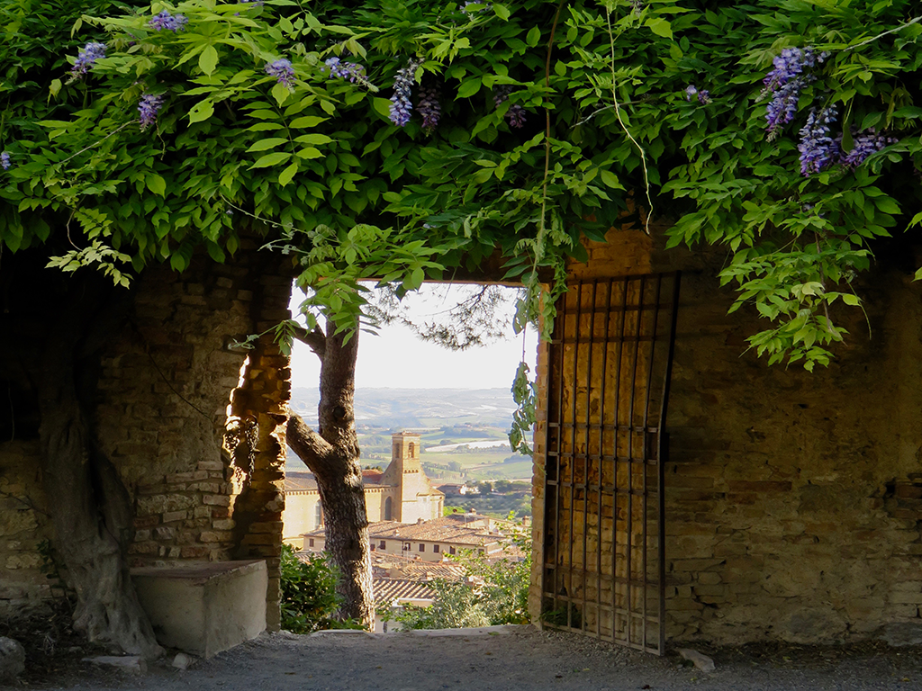 Tuscany: Yoga and Cinque Terre